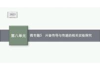 2023年老高考生物一輪復(fù)習(xí)微專題5 興奮傳導(dǎo)與傳遞的相關(guān)實(shí)驗(yàn)探究
