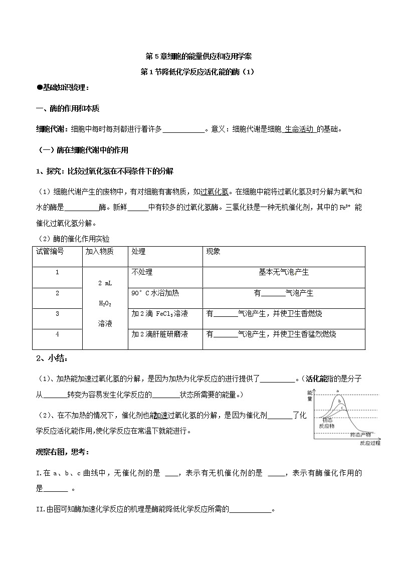 5.1 降低化学反应活化能的酶(1)学案 【新教材】人教版(2019)高中生物必修一第1页