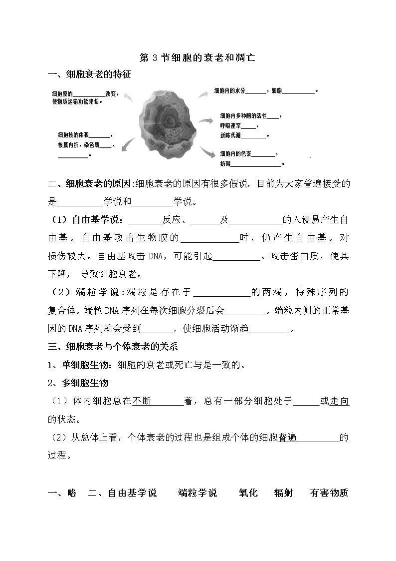 6.3 细胞的衰老死亡 学案【新教材】人教版(2019)高中生物必修一练习题第1页