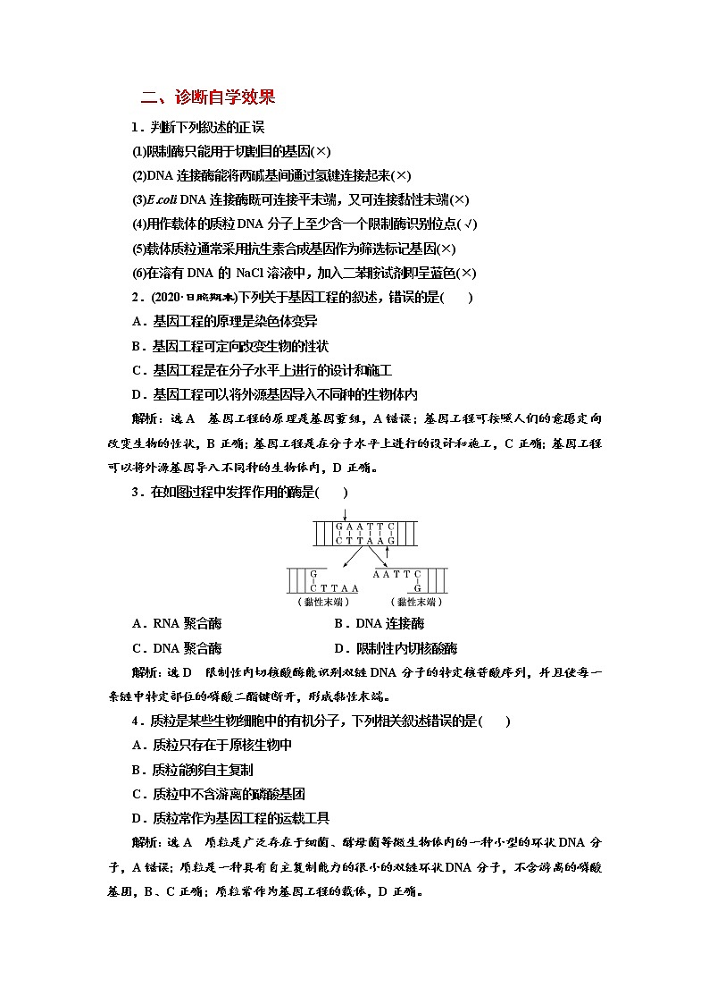 新人教版 高中生物选择性必修三第3章 基因工程:第1节重组DNA技术的基本工具 学案含答案03