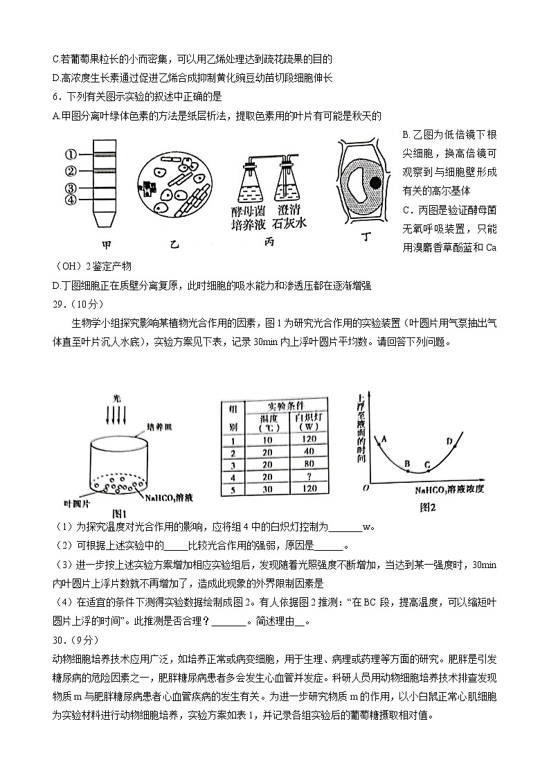 河南省开封市2022届高三第二次模拟考试理科综合(生物学科)试题 无答案第2页