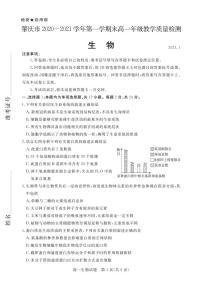 2020-2021学年广东省肇庆市高一上学期期末考试生物试卷 PDF版