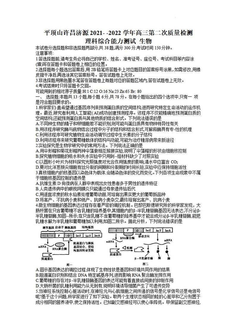 河南省平顶山市2021-2022高三下学期第二次质量检测(二模)生物试题含答案01