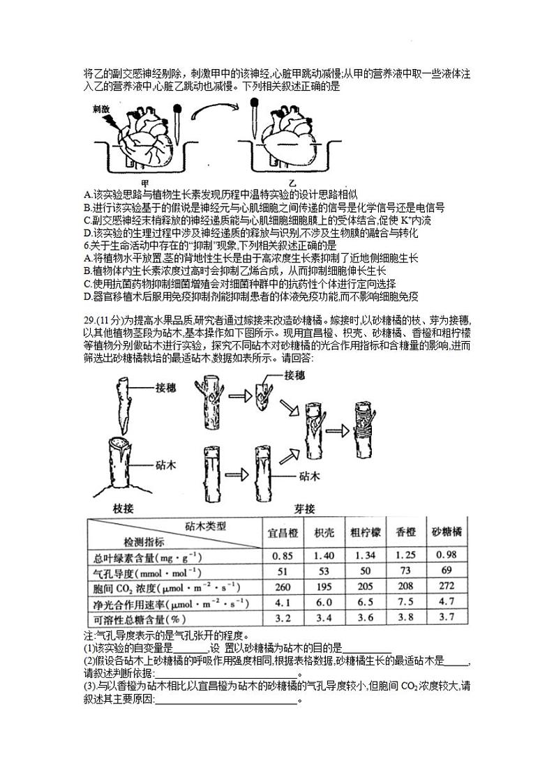 河南省平顶山市2021-2022高三下学期第二次质量检测(二模)生物试题含答案02