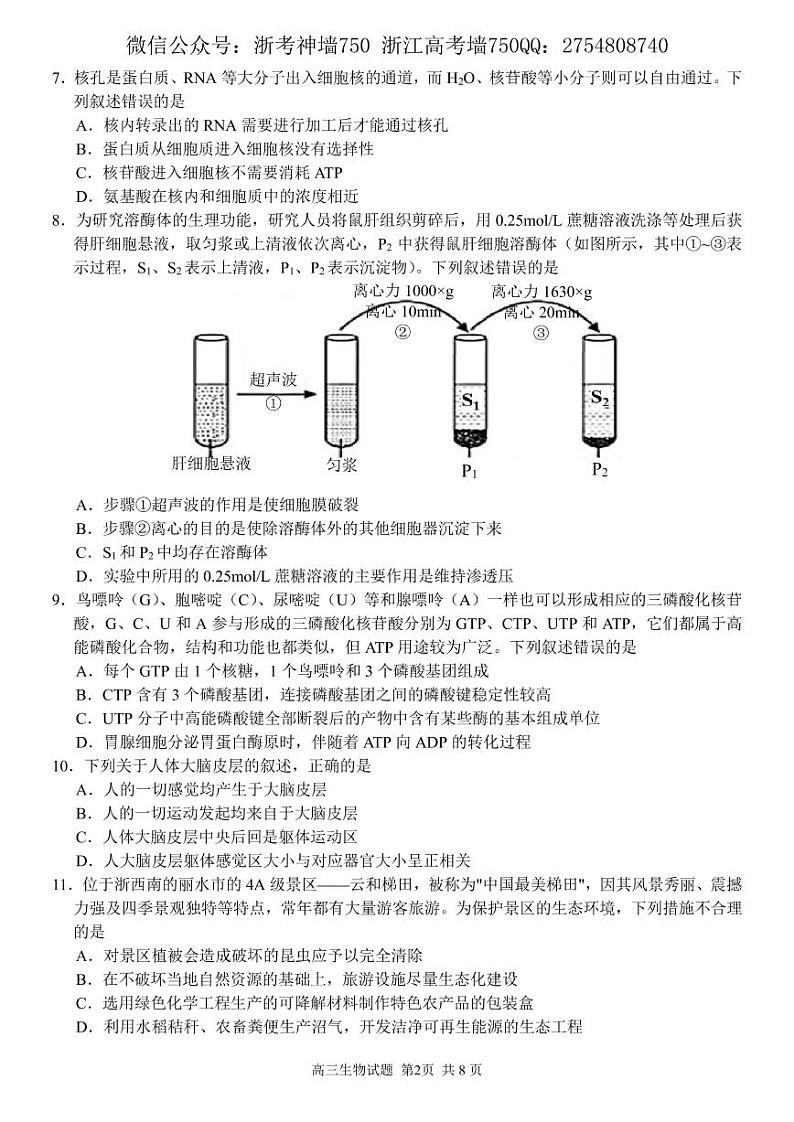 2022浙江省金丽衢十二校、七彩阳光联盟高三下学期3月阶段性联考生物试题PDF版含解析02