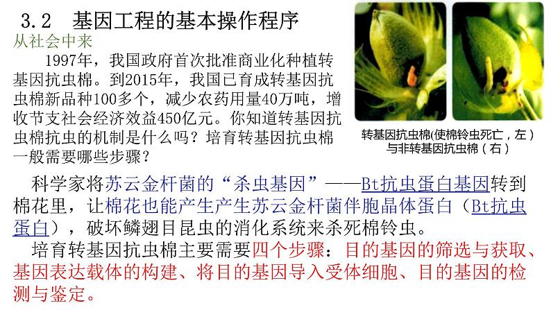 3.2基因工程的基本操作程序课件-2021-2022学年高二下学期生物人教版(2019)选择性必修3第1页