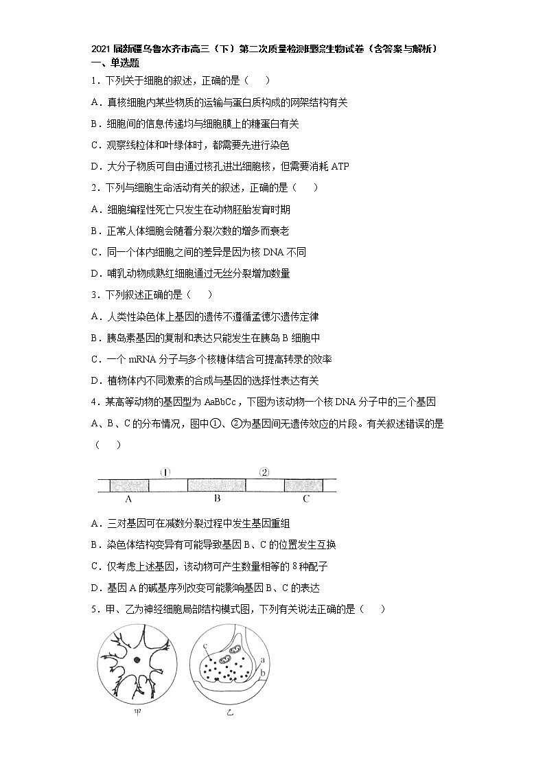 2021届新疆乌鲁木齐市高三(下)第二次质量检测理综生物试卷(含答案与解析)01