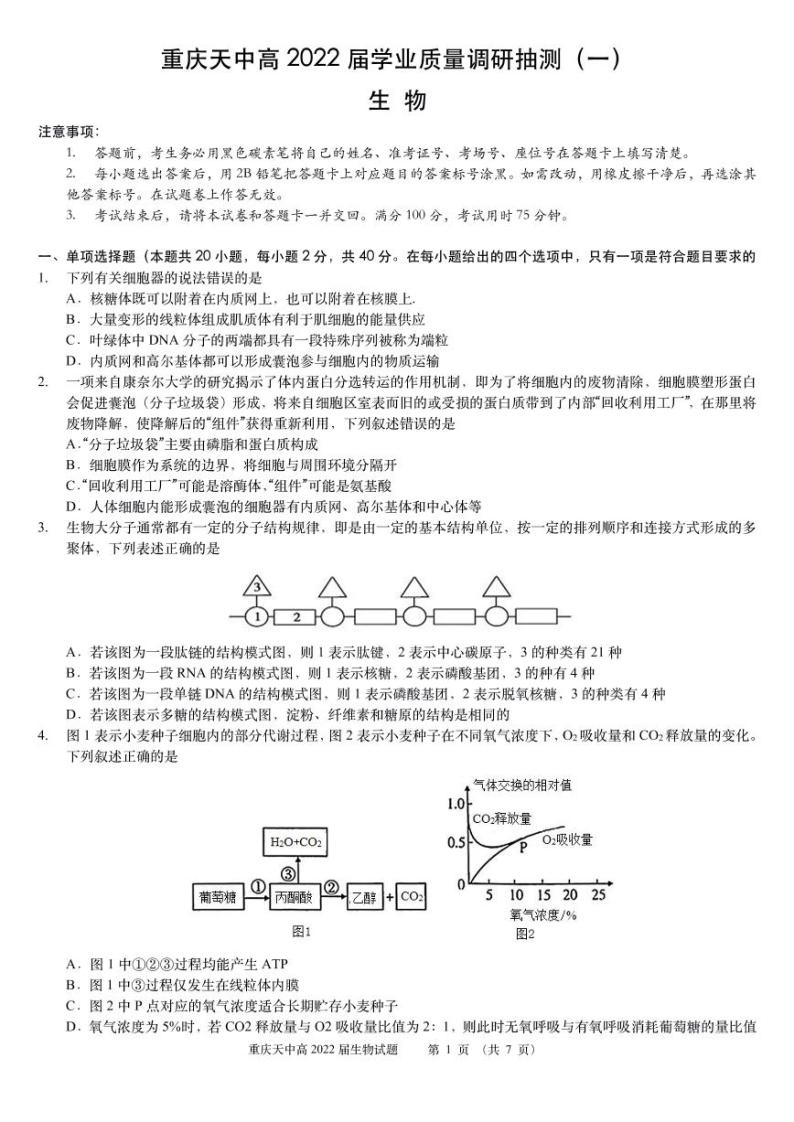 重庆市天星桥中学2022届高三学业质量调研抽测（一）生物试题及答案01