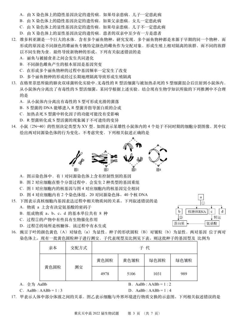 重庆市天星桥中学2022届高三学业质量调研抽测（一）生物试题及答案03