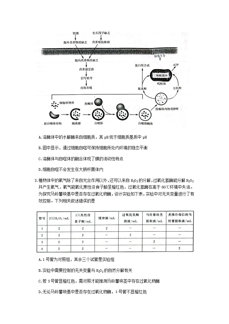 山东省济南市2021-2022学年高三下学期2月十一校联考生物试题第2页