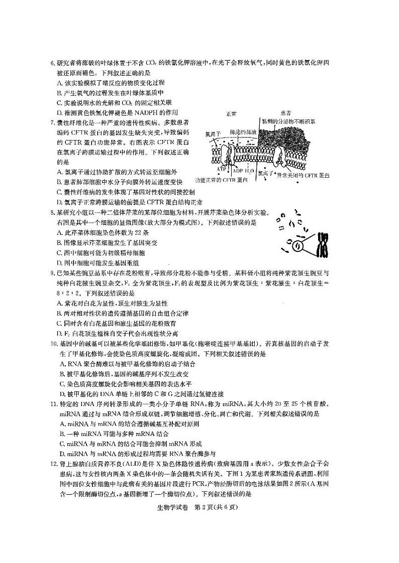 湖北省部分重点中学2022届高三第二次联考生物试卷第2页