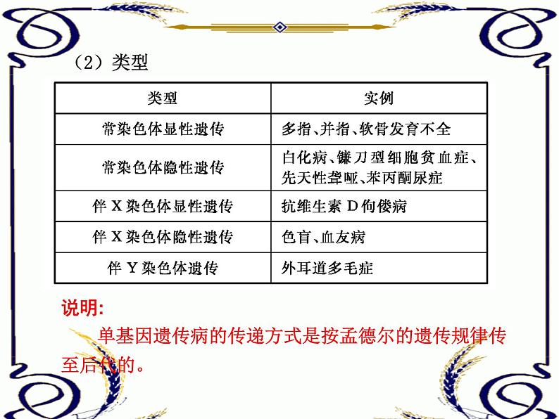 高中生物人教版必修2课件5.4 人类遗传病(一)(共14张PPT)第2页