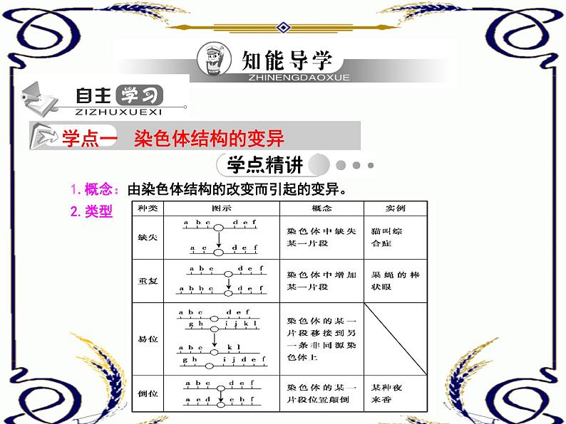高中生物人教版必修2课件5.2 染色体变异(一)(共15张PPT)01