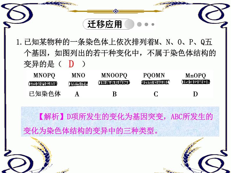 高中生物人教版必修2课件5.2 染色体变异(一)(共15张PPT)04