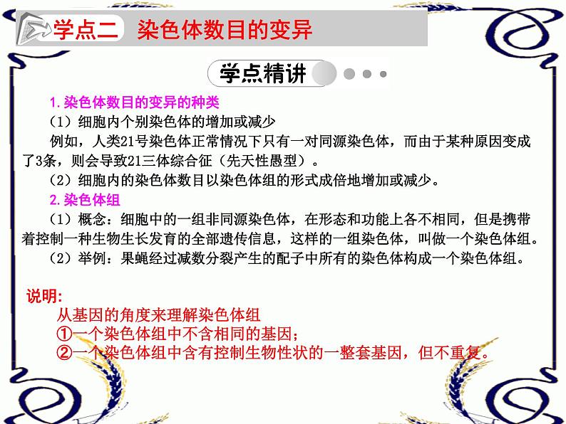 高中生物人教版必修2课件5.2 染色体变异(一)(共15张PPT)05