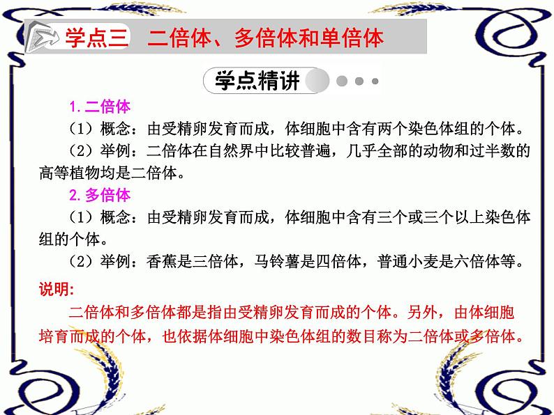 高中生物人教版必修2课件5.2 染色体变异(一)(共15张PPT)07