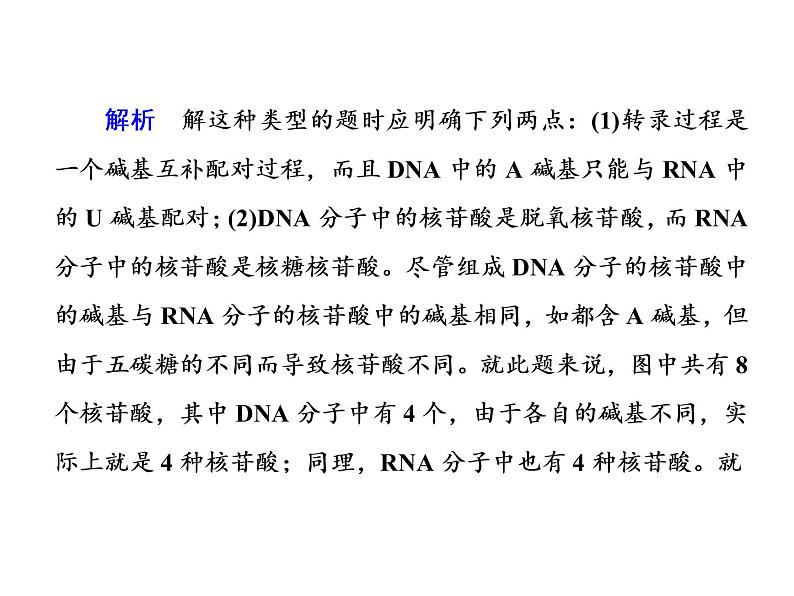 高中生物人教版必修二4-1基因指导蛋白质的合成课件PPT第3页