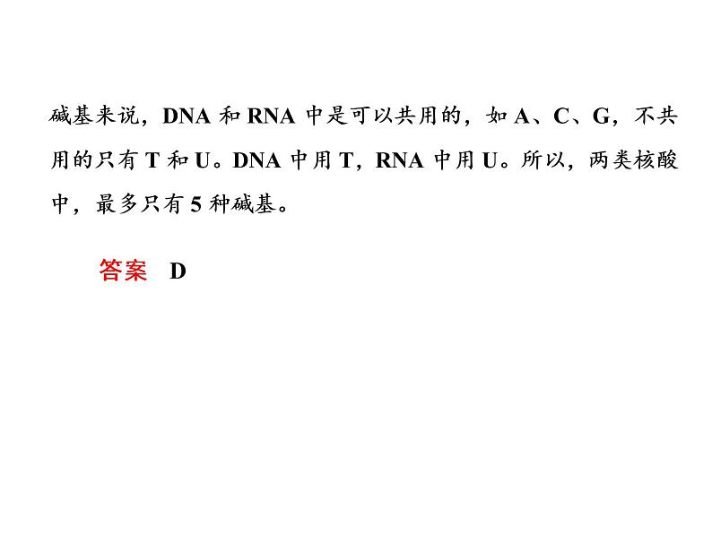 高中生物人教版必修二4-1基因指导蛋白质的合成课件PPT第4页