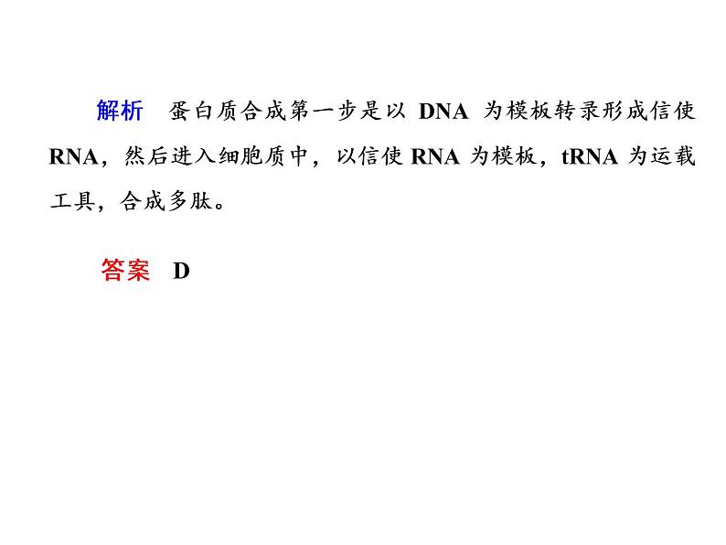 高中生物人教版必修二4-1基因指导蛋白质的合成课件PPT第6页