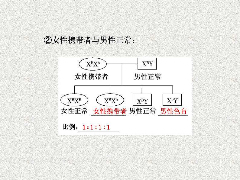 生物同步配套课件(人教版必修2)第2章第3节伴性遗传06
