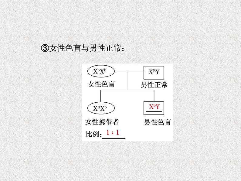 生物同步配套课件(人教版必修2)第2章第3节伴性遗传07