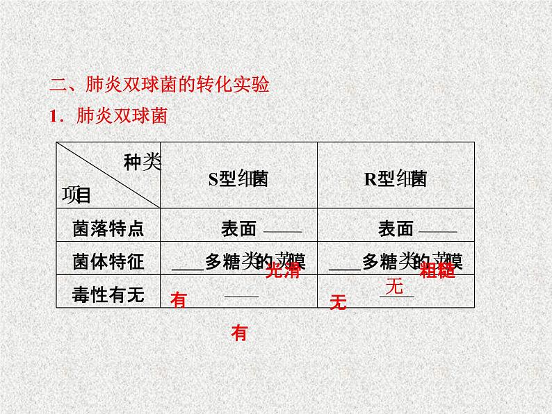 生物同步配套课件(人教版必修2)第3章第1节DNA是主要的遗传物质04