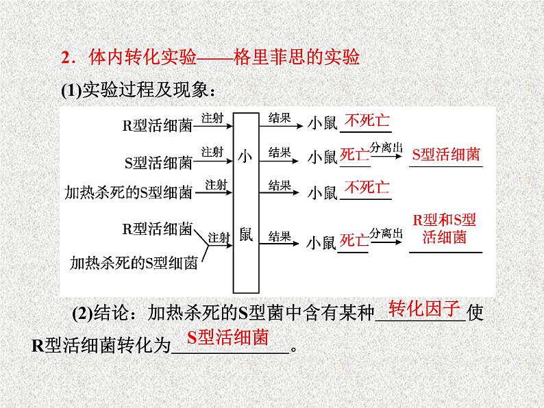 生物同步配套课件(人教版必修2)第3章第1节DNA是主要的遗传物质05