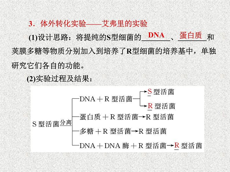 生物同步配套课件(人教版必修2)第3章第1节DNA是主要的遗传物质06