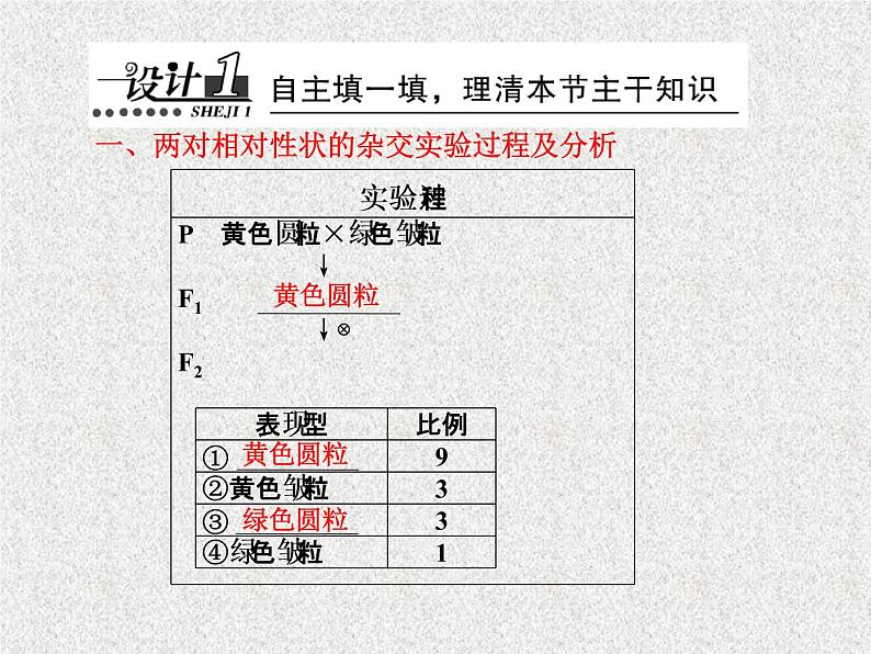 生物同步配套课件(人教版必修2)第1章第2节孟德尔的豌豆杂交实验(二)第3页