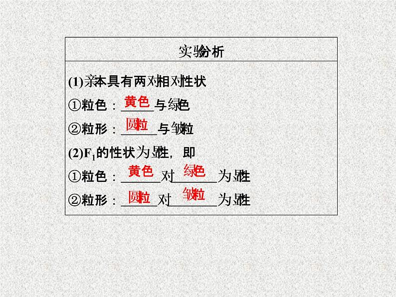 生物同步配套课件(人教版必修2)第1章第2节孟德尔的豌豆杂交实验(二)第4页