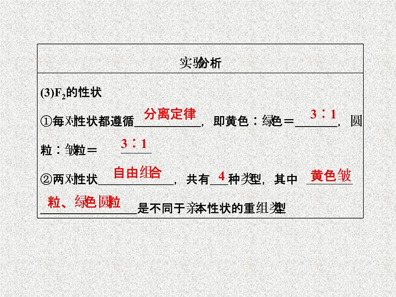 生物同步配套课件(人教版必修2)第1章第2节孟德尔的豌豆杂交实验(二)第5页