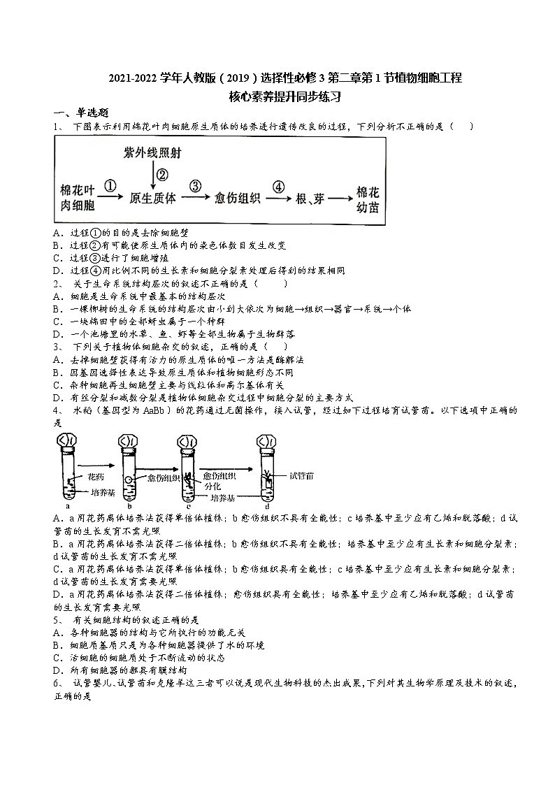 2021-2022学年人教版(2019)选择性必修3第二章第1节植物细胞工程核心素养提升同步练习第1页