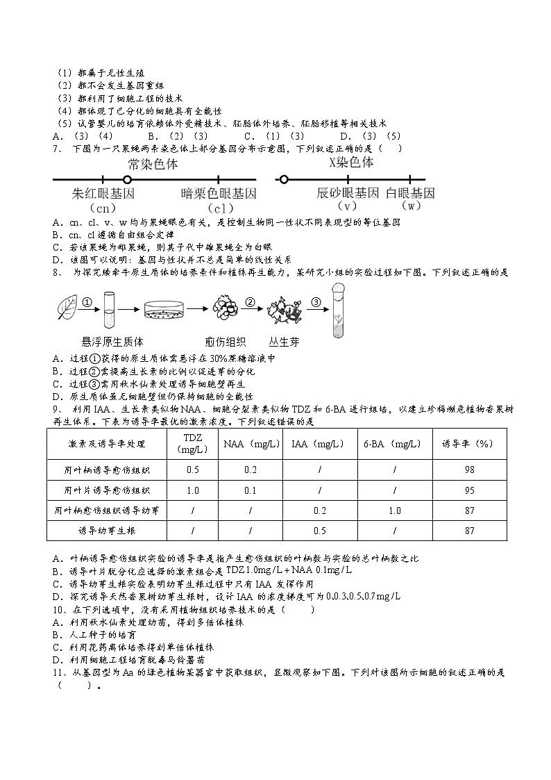 2021-2022学年人教版(2019)选择性必修3第二章第1节植物细胞工程核心素养提升同步练习第2页