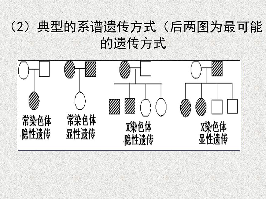 高考生物專題復(fù)習(xí) 遺傳、變異與進(jìn)化課件 新人教版第6頁