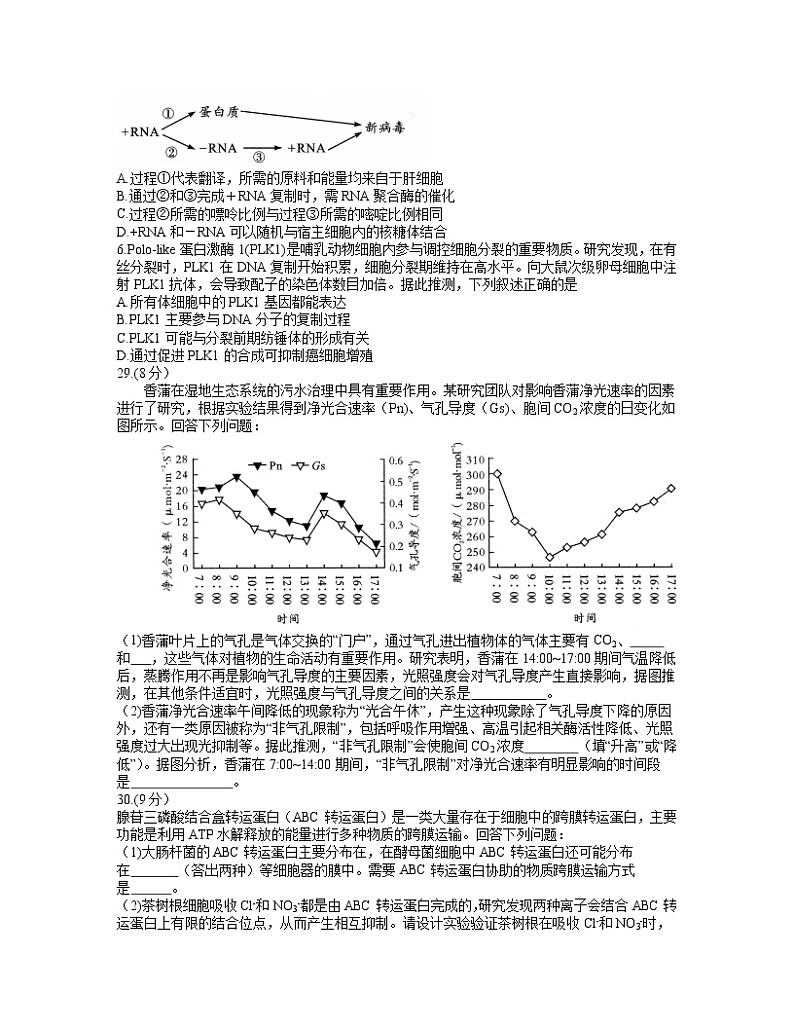 2022成都高三上学期第一次诊断性检测生物试题含答案第2页