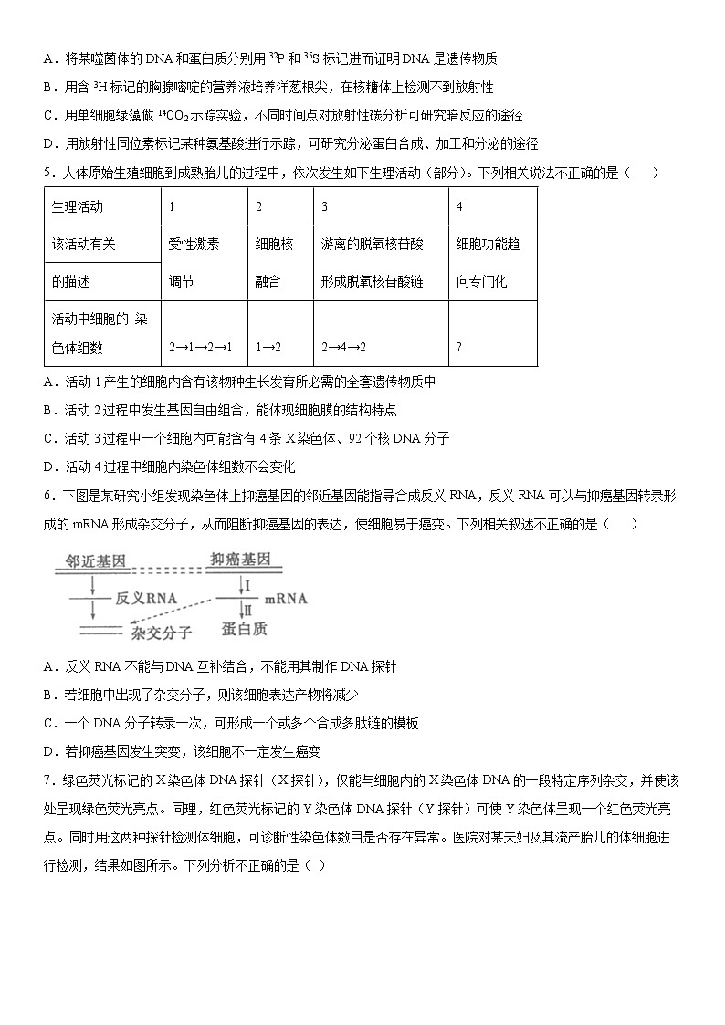 2020屆山東省煙臺(tái)高三二模生物試卷及答案第2頁(yè)