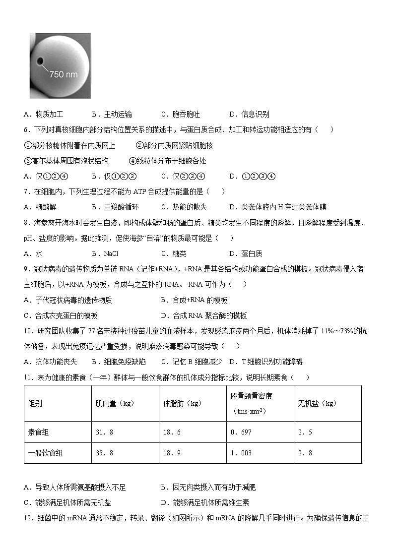 2022届上海市崇明区高三一模生物试卷及答案第2页
