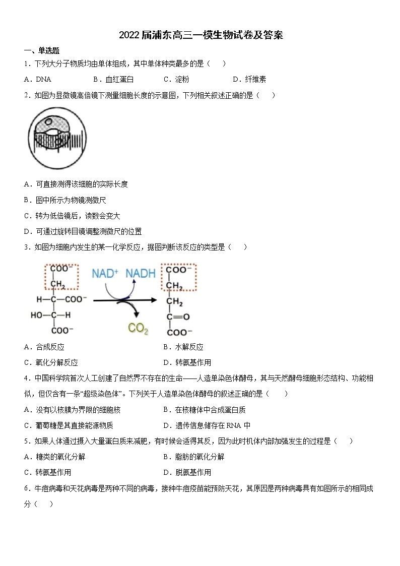 2022届浦东高三一模生物试卷及答案第1页
