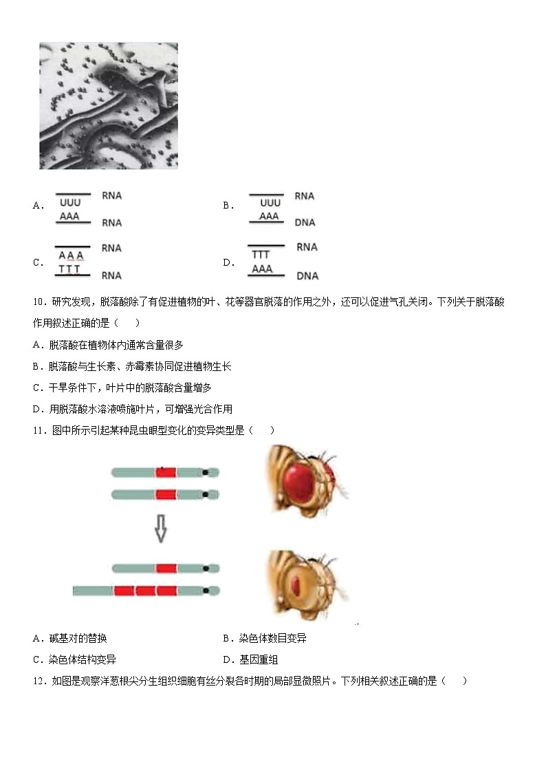 2022届浦东高三一模生物试卷及答案第3页