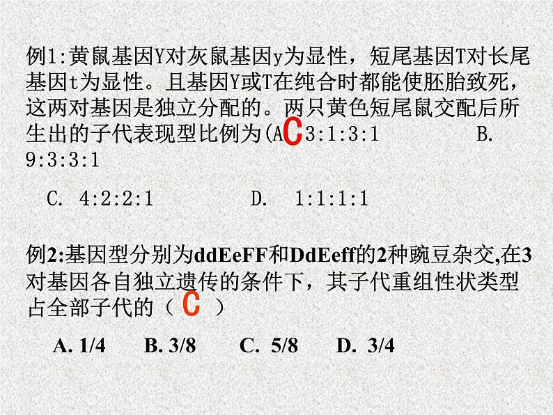 高考生物专题复习 基因的自由组合定律课件课件 新人教版第4页