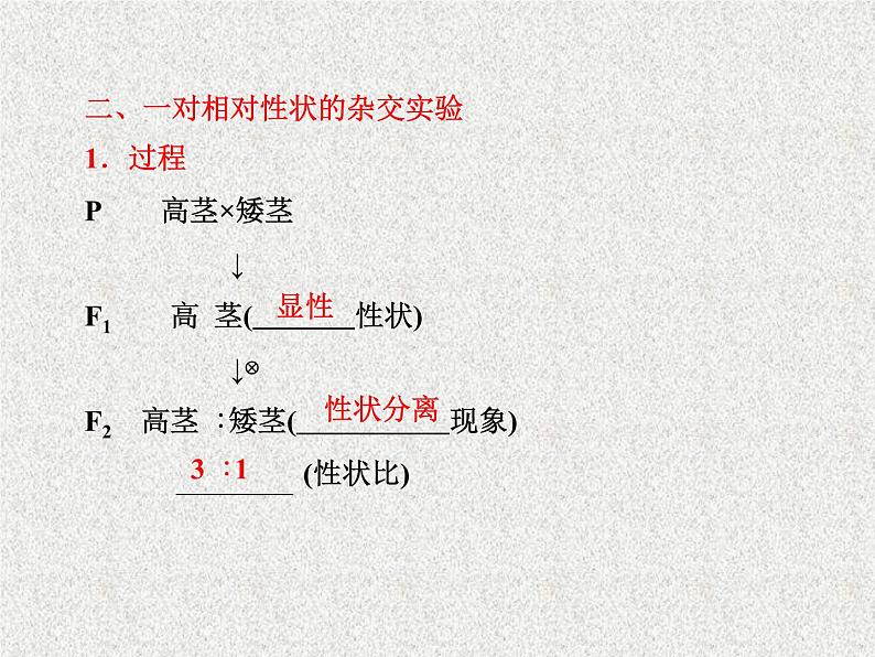 生物同步配套课件(人教版必修2)第1章第1节孟德尔的豌豆杂交实验(一)第5页