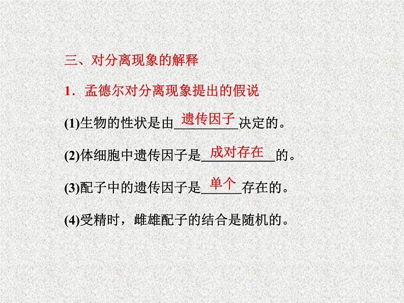 生物同步配套课件(人教版必修2)第1章第1节孟德尔的豌豆杂交实验(一)第7页