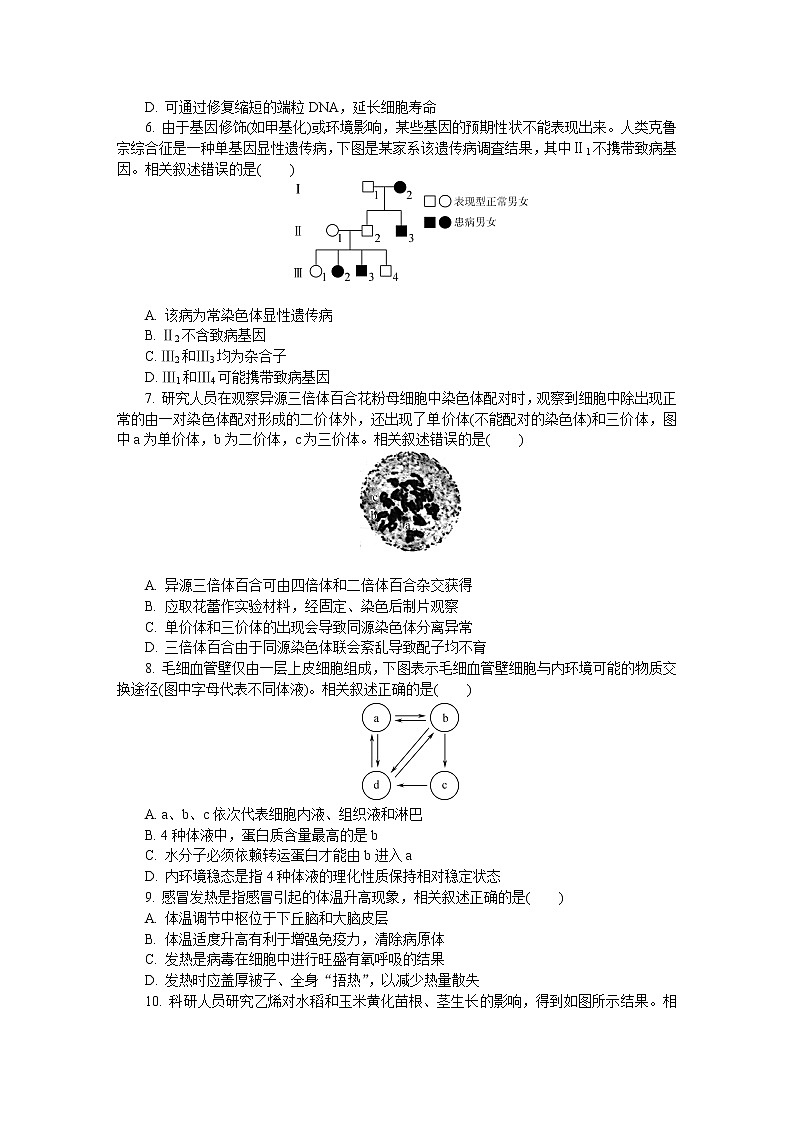 2022(南通、泰州、扬州、淮安、宿迁、徐州、连云港)七高三下学期二模试题生物含答案02