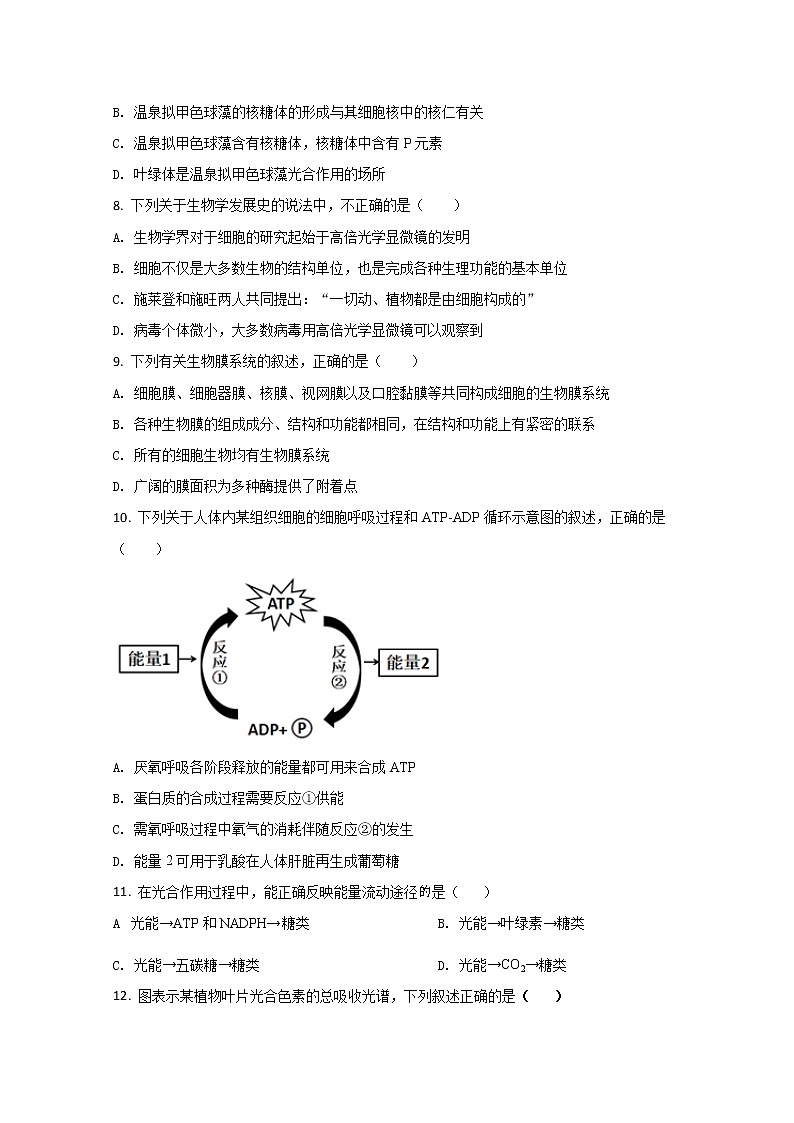 2022温州乐清中学高一上学期12月月考生物试题含答案第2页