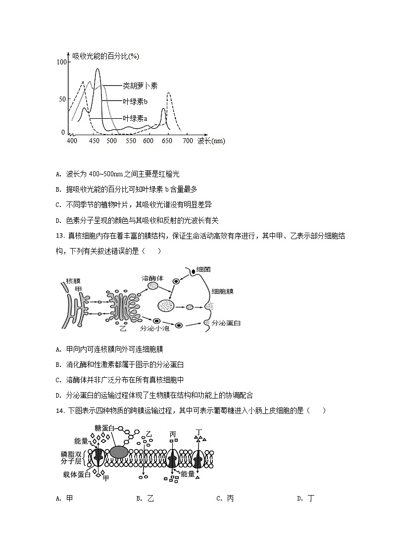 2022温州乐清中学高一上学期12月月考生物试题含答案第3页