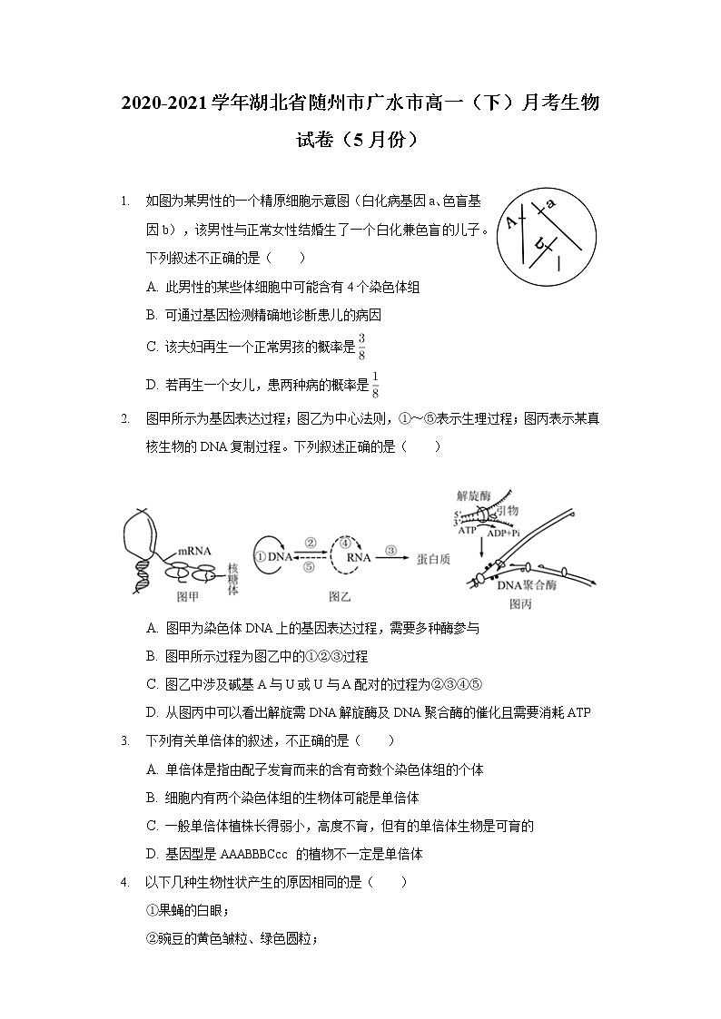 2020-2021学年湖北省随州市广水市高一(下)月考生物试卷(5月份)第1页