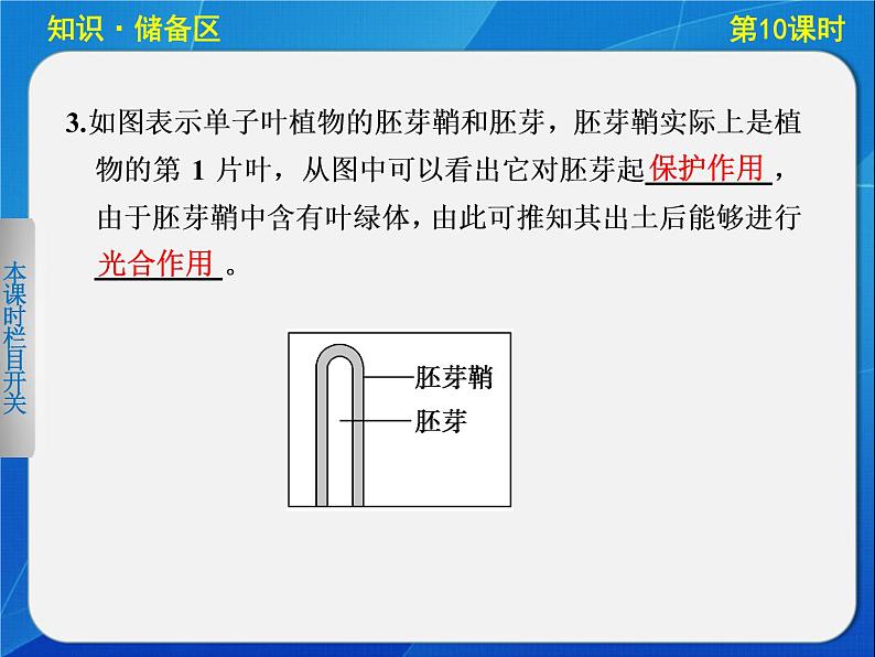 高中生物人教版必修3课件:3-10植物生长素的发现第2页