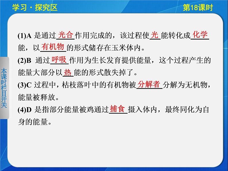 高中生物人教版必修3课件:5-18生态系统的能量流动第3页
