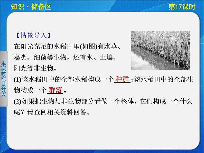 高中生物人教版必修3课件:5-17生态系统的结构04