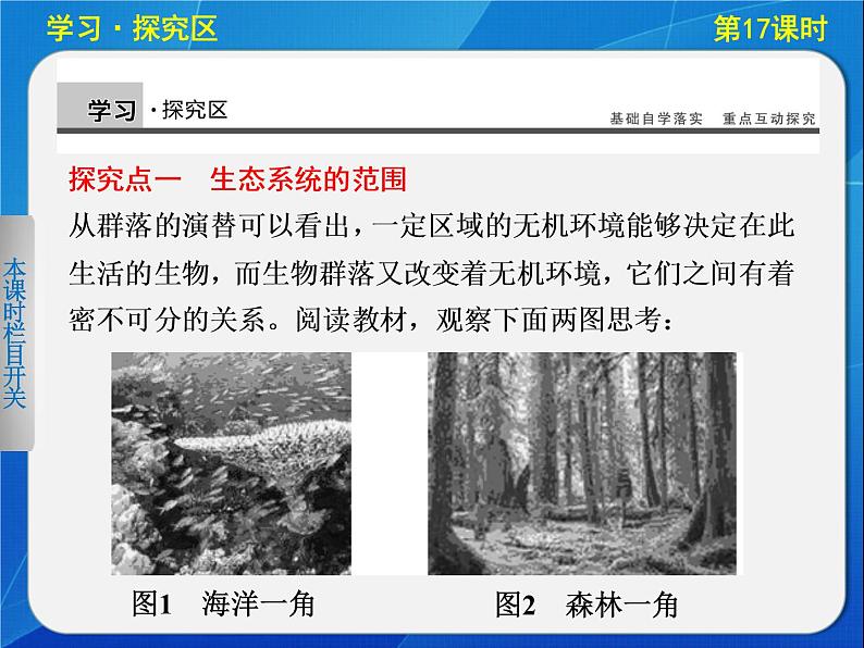 高中生物人教版必修3课件:5-17生态系统的结构05